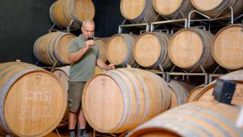 L'enologo Harry Zech controlla la qualità del vino durante la degustazione in cantina - produzione artigianale nel Liechtenstein.