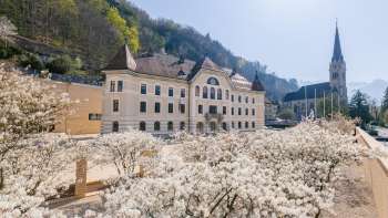 Edificio governativo di Vaduz con fiori bianchi in primo piano in pieno sole
