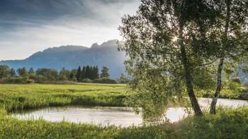 Tranquillo paesaggio acquatico nella riserva naturale Ruggeller Riet con la luce del sole e la vista delle montagne sullo sfondo