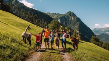 Gruppo di escursionisti con alpaca su un verde prato alpino a Triesenberg Gruppo di escursionisti con alpaca su un verde prato alpino a Triesenberg