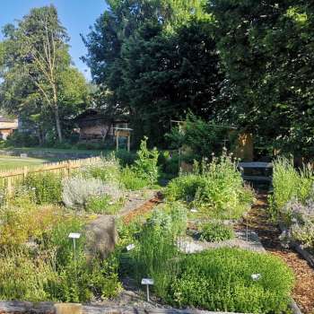 guardate il giardino delle erbe di Mauren con aiuole etichettate, erbe fiorite e sentieri ben curati in un ambiente estivo.