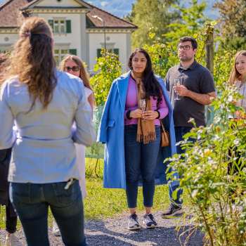 Visita guidata e degustazione presso le Cantine di Corte del Principe del Liechtenstein