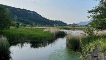 Vista del lago Egelsee a Mauren in estate, con la verde vegetazione della riva, i riflessi dell'acqua e un tranquillo scenario naturale.