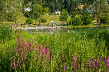 Lago balneabile Grossabünt a Gamprin con bagnanti, prato per prendere il sole e piante fiorite in primo piano
