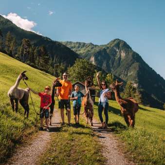 Servizio fotografico di famiglia con lama e alpaca in estate Malbun