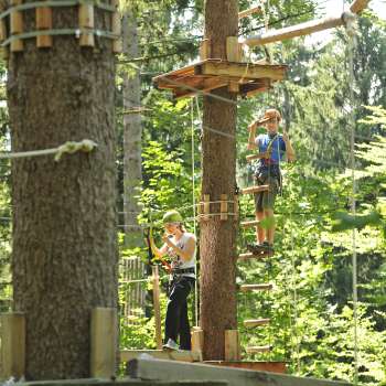 Due persone si concentrano su un percorso a corde alte tra gli alberi