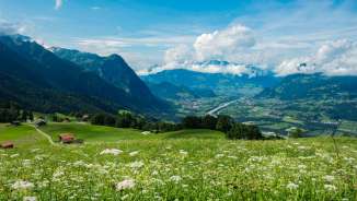 Vista panoramica da Masescha con un prato fiorito in primo piano e un'ampia vista sulla valle del Reno e sulle Alpi sullo sfondo.