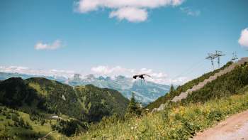 L'aquila vola sulle montagne del Liechtenstein