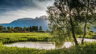 Atmosfera serale sulla riserva naturale Ruggeller Riet con il corso del fiume, gli alberi e la vista delle montagne sullo sfondo.