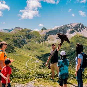 Una famiglia osserva il falconiere con il rapace durante una delle escursioni dell'avventura dell'aquila