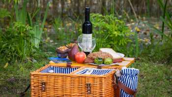 Cestino da picnic con bottiglia di vino nel bosco