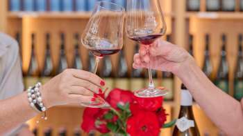 Degustazione presso le Cantine di Corte del Principe del Liechtenstein