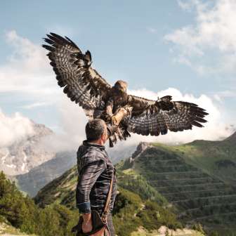 Il falconiere Norman Vögeli presenta un'imponente aquila reale sullo sfondo di una montagna alpina: un impressionante spettacolo naturale ad altezze elevate.