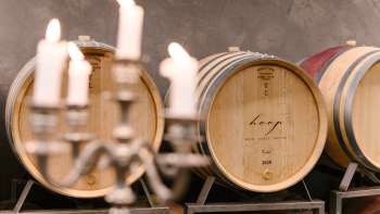 Atmosfera nella cantina dell'azienda vinicola Hoop con botti barrique etichettate e lume di candela.