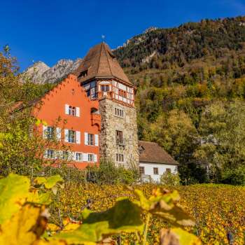La Casa Rossa di Vaduz circondata da viti autunnali sul pendio della collina.