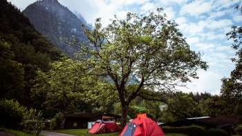 Campeggio al Camping Mittagsspitze con tende rosse sotto un grande albero sullo sfondo delle montagne.