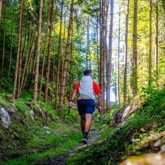 Escursionisti su uno stretto sentiero attraverso una rada foresta di conifere nel Liechtenstein, circondati da vegetazione verde e luce solare
