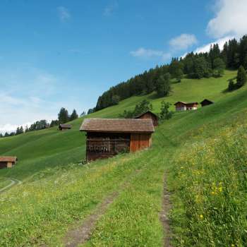 Prati alpini con fienili in legno sparsi su un pendio verde vicino a Masescha.