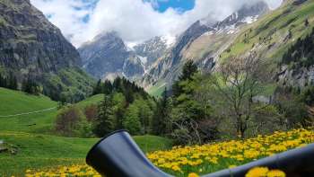 Alphorn in mezzo a prati fioriti di tarassaco nella valle alpina del Liechtenstein con vista sulle cime innevate: un'esperienza musicale tradizionale nelle Alpi.