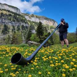 Persona che suona l'alphorn su un prato di dente di leone di fronte a ripide pareti rocciose nelle montagne del Liechtenstein sotto un cielo azzurro