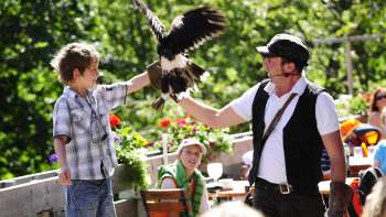 Un ragazzo tiene in braccio un rapace, guidato da un falconiere