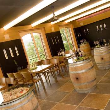 Harry Zech Viticoltura - Cantina