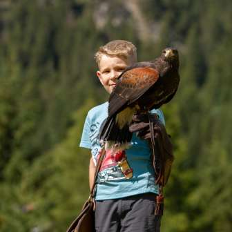 Aquila seduta sulla mano di un ragazzo