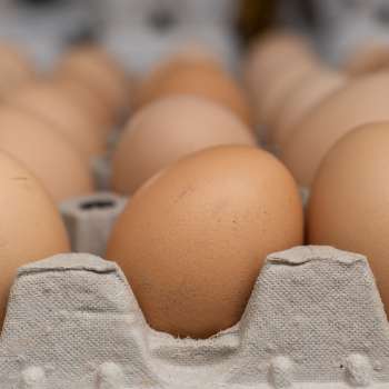 Uova fresche di Neufeldhof nel Liechtenstein - direttamente dalla gallina allo scaffale, prodotte in modo regionale e sostenibile.
