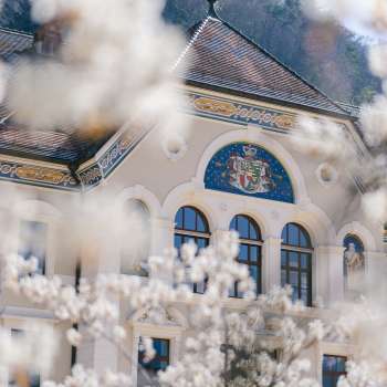 Facciata del palazzo del governo di Vaduz, incorniciata da alberi bianchi in fiore in primavera.