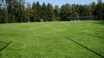 Campo sportivo Schellenberg