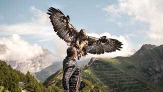 Il falconiere Norman Vögeli presenta un'imponente aquila reale sullo sfondo di una montagna alpina: un impressionante spettacolo naturale ad altezze elevate.