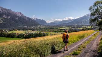 Donna in escursione su un sentiero sterrato con vista panoramica sulla valle del Reno in Liechtenstein