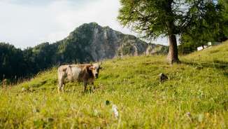 Escursioni in Liechtenstein