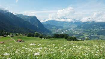 Vista su un prato fiorito nella valle del Reno e sulle montagne circostanti.