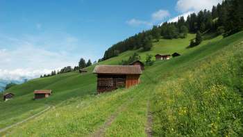 Prati alpini con fienili in legno sparsi su un pendio verde vicino a Masescha.