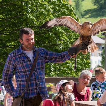 Un falconiere presenta un uccello da preda, bambini e adulti guardano entusiasti.