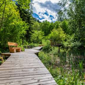 Una passerella di legno con panchina conduce attraverso una foresta verde e una zona umida sul sentiero naturale di Schaanwald, nel Liechtenstein.
