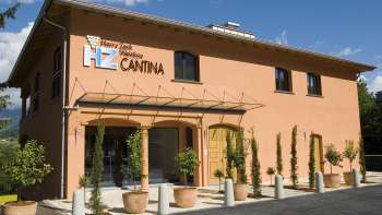 Cantina Harry Zech