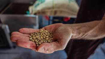 Primo piano di una mano che mostra i chicchi di caffè di Demmel Kaffee