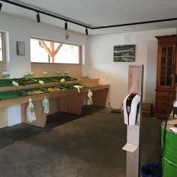 Area self-service del Birkahoflädile con tavoli di vendita vuoti e registratore di cassa verde - vendita sostenibile in fattoria nel Liechtenstein.