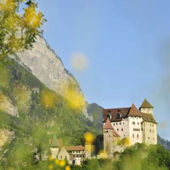Rocca di Gutenberg con cespugli di fiori gialli in primo piano.