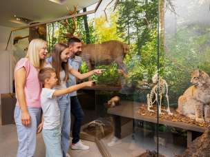 La famiglia scopre animali selvatici e scheletri in un'emozionante visita al museo nazionale del Liechtenstein