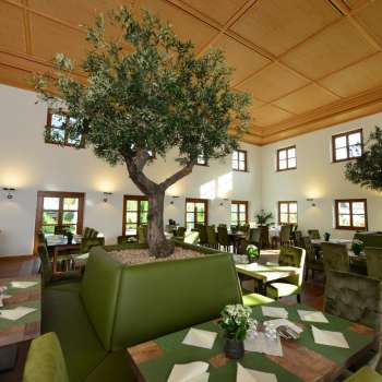 Cantine di Corte del Principe del Liechtenstein