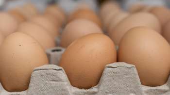 Uova fresche di Neufeldhof nel Liechtenstein - direttamente dalla gallina allo scaffale, prodotte in modo regionale e sostenibile.