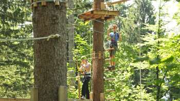 Due persone si concentrano su un percorso a corde alte tra gli alberi