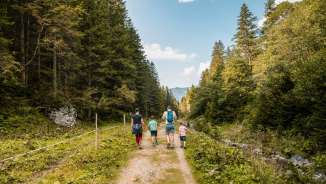 Escursione in famiglia su un sentiero naturale nella verde Valüna in Liechtenstein, circondata da boschi e montagne sotto il sole