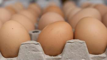 Uova fresche di Neufeldhof nel Liechtenstein - direttamente dalla gallina allo scaffale, prodotte in modo regionale e sostenibile.