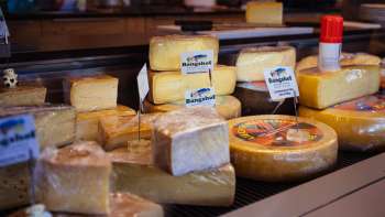 Variegata selezione di formaggi regionali nel banco del negozio della fattoria Bangshof in Liechtenstein, freschi e fatti a mano.
