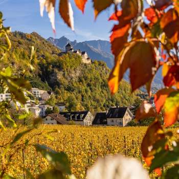 Vista del castello di Vaduz in un'atmosfera autunnale
