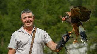 Il falconiere Norman Vögeli con l'aquila
